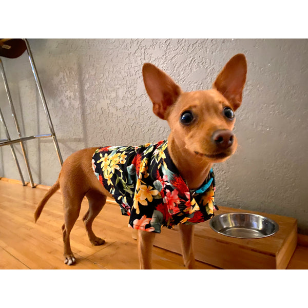 Floral Print Dog's Shirts | Ohia Hawaiian Flower | Black