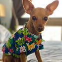 Blue Pineapple Dog's Hawaiian Shirt | Blue