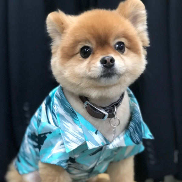 Hawaiian Shirts for Dog | Surfer Camouflage Hawaiian Dog's Hawaiian Shirt | Blue, Green