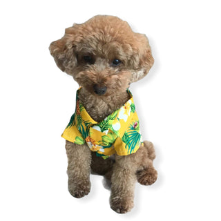 Yellow Pineapple Dog's Hawaiian Shirt | Yellow