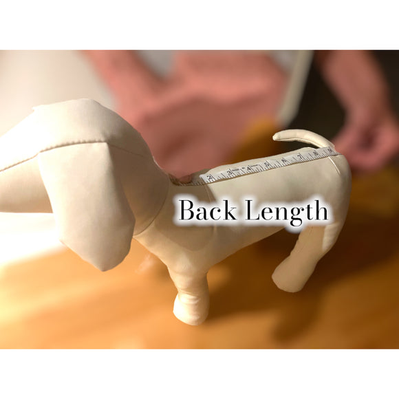 Dog's Hawaiian Shirt | Hawaiian Ipu Print | Green