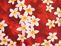 Red Plumeria  100% Cotton Hawaiian Fabric, Dark Red RC C003R - Muumuu Outlet