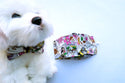 Face Mask | Match with Dog's Bow Tie | Pet Fashion - Muumuu Outlet