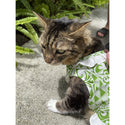 Hawaiian Muumuu Dress for Dog | Small Frill - Muumuu Outlet