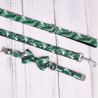 Hawaiian Palm Leaf 3Pc Leash Set | Dog Bow Tie, Leash, Collar | Green - Muumuu Outlet